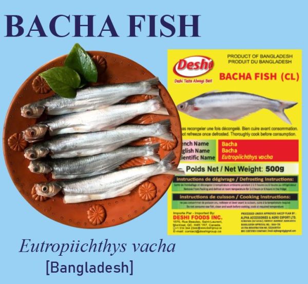 BACHA  FISH 500g X 3 BOX