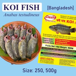 Frozen Koi Fish 500g Box – Authentic Bangladeshi freshwater fish Canada.