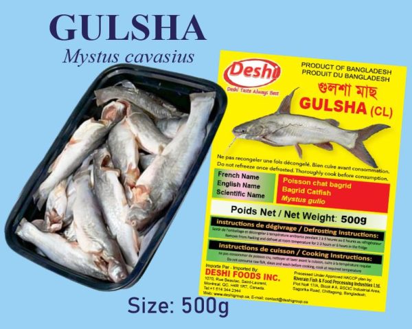 GULSHA (500G) Box